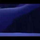 360x360