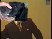 480x360