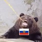 320x320