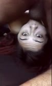 434x720