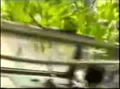 480x360