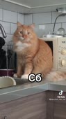 540x960