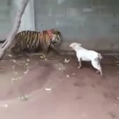 360x360