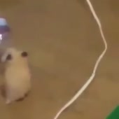 360x360