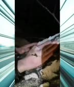 240x280