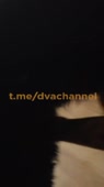 406x720
