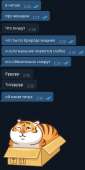 288x572
