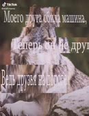 540x706