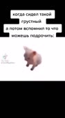 360x646