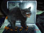 640x480