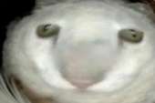 300x200
