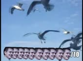 490x360