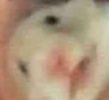 260x239