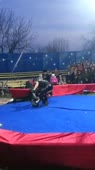 360x640