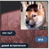 1080x1080