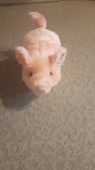 720x1280