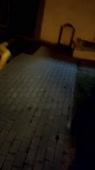 720x1280