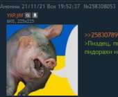 253x209