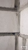 576x1024