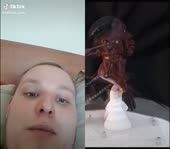 656x576