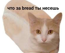 1080x875