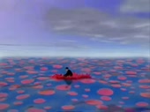 480x360