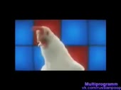 480x360