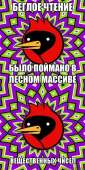400x800