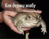 390x309