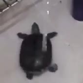 360x360