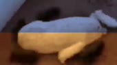 640x360