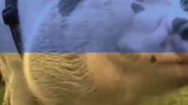 640x360