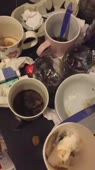 406x720