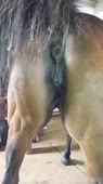 406x720
