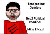 720x494