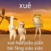 360x360