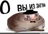 740x531