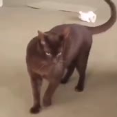 360x360