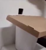 410x444