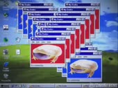 480x360