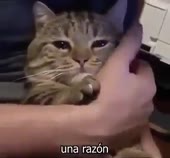 400x372