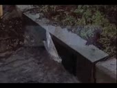 320x240