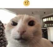 320x286