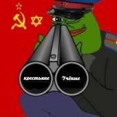 462x462
