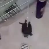 360x360