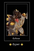 480x720