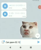 640x768