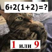 776x776