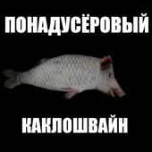 720x720