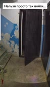 576x988